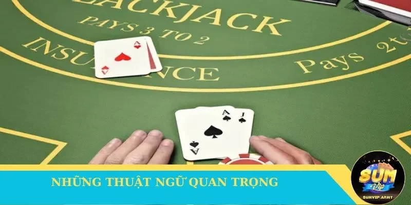 Những thuật ngữ quan trọng