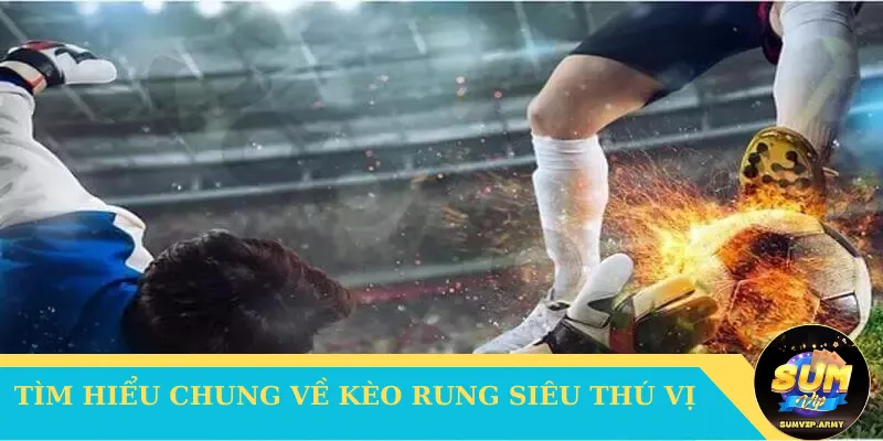 Tìm hiểu chung về kèo rung siêu thú vị